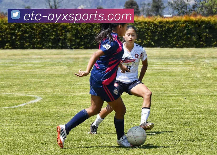 爱游戏服务体系